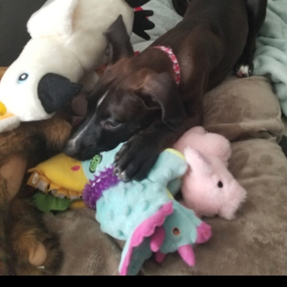 Meet Your Posher! - Picture 5 of 8